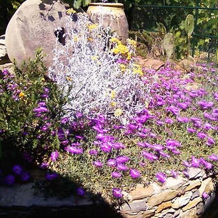 L'Antico Frantoio Villa Rapallo Kültér fotó