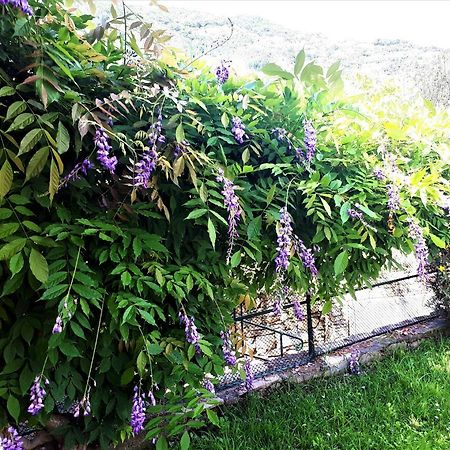 L'Antico Frantoio Villa Rapallo Kültér fotó