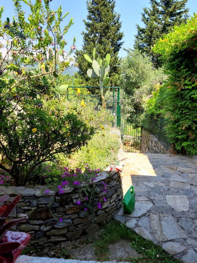L'Antico Frantoio Villa Rapallo Kültér fotó