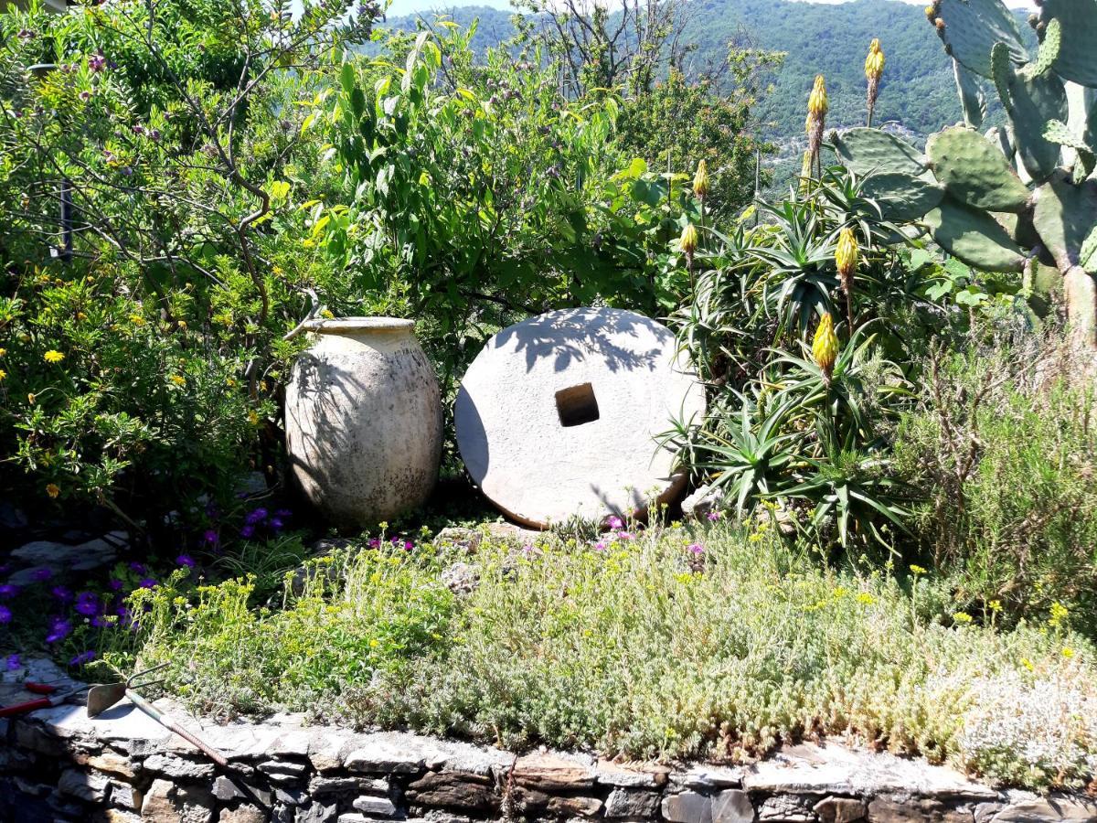 L'Antico Frantoio Villa Rapallo Kültér fotó