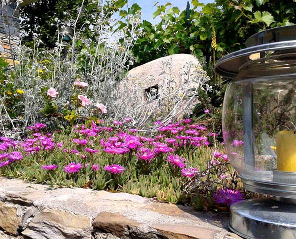 L'Antico Frantoio Villa Rapallo Kültér fotó
