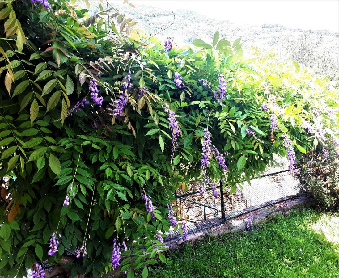 L'Antico Frantoio Villa Rapallo Kültér fotó